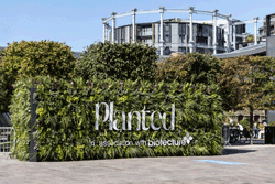 Planted at Kings Cross 1