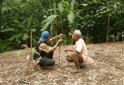 Barker and Stonehouse Trees4Trees Planting1
