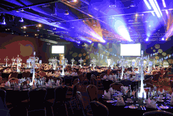 BedShowdinner22