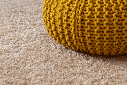 Carpet22
