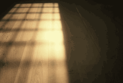 Floor23
