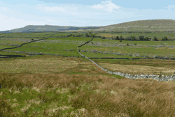 Wild Ingleborough