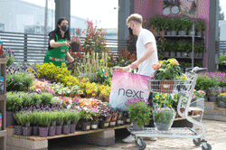 Homebase garden centre at Next Camberley 3