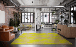 OBJECT CARPET FORUM Kimi
