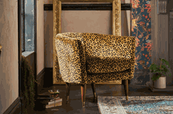 PalomaHome23