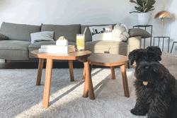 Sofacarpet