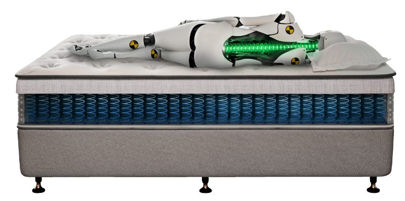 Sealy4262
